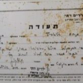 מנחם בגן הילדים