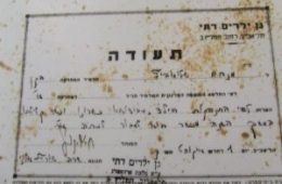 מנחם בגן הילדים