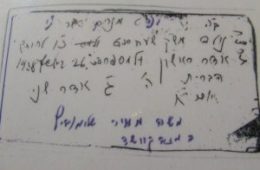 מנחם נולד